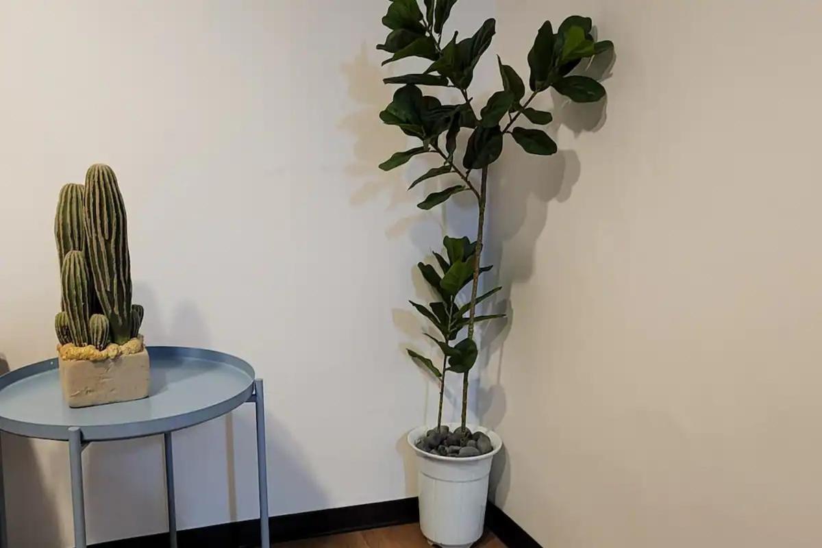 K-2 White Linen House * Seul