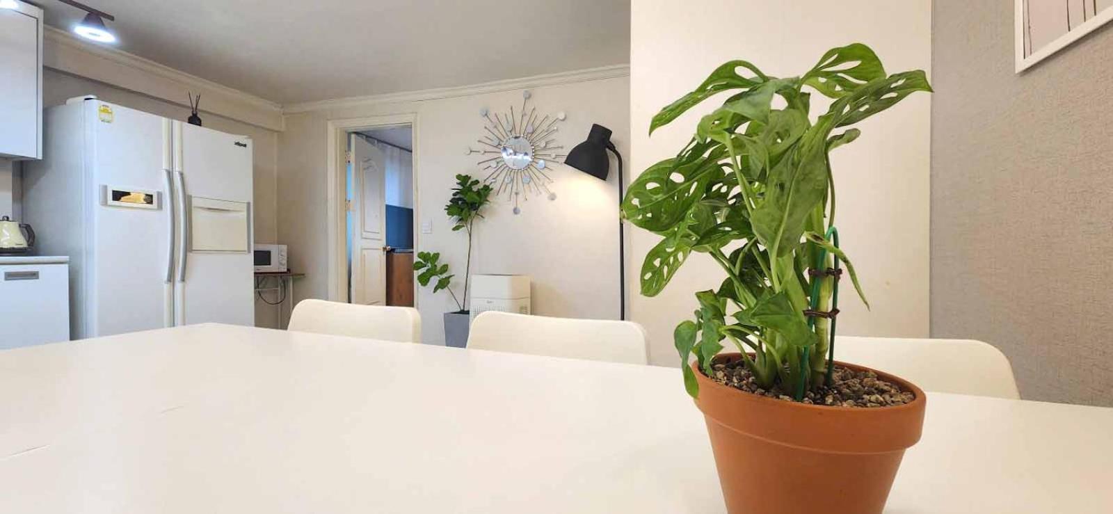 K-2 White Linen House *