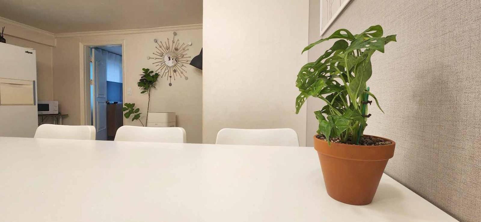 K-2 White Linen House Pangsapuri Seoul